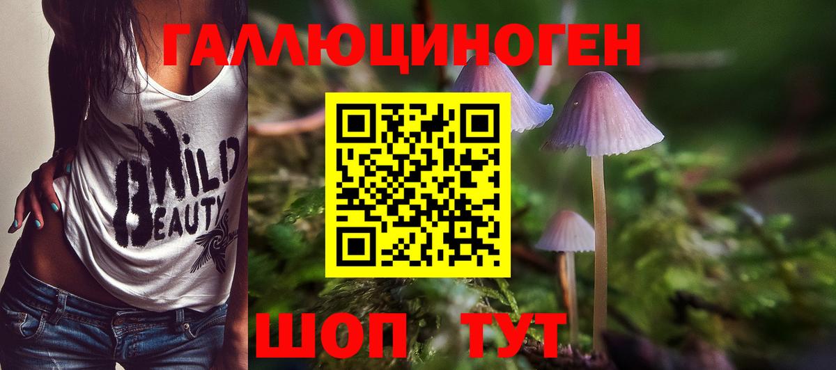 Джанкой  Галлюциногенные грибы мухоморы  Галлюциногенные грибы прущие грибы  Вход с VPN 